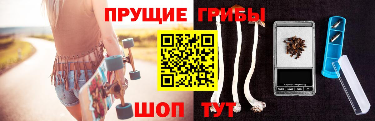 Псилоцибиновые грибы GOLDEN TEACHER  Вход с VPN  Черкесск 